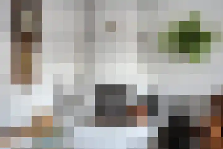 Weegbree 141 Krimpen aan den IJssel thumbnail 5