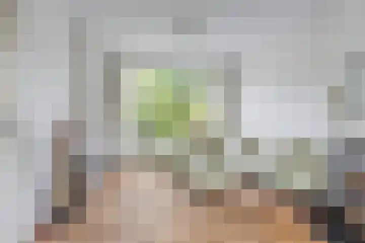 Weegbree 15 Gendringen thumbnail 17
