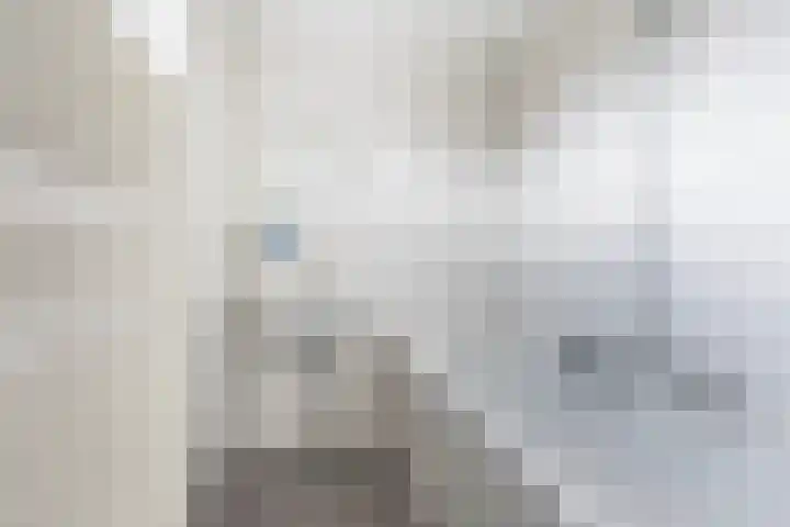 Weegbree 15 Gendringen thumbnail 25
