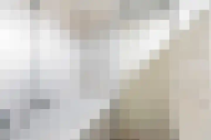 Weegbree 15 Gendringen thumbnail 26