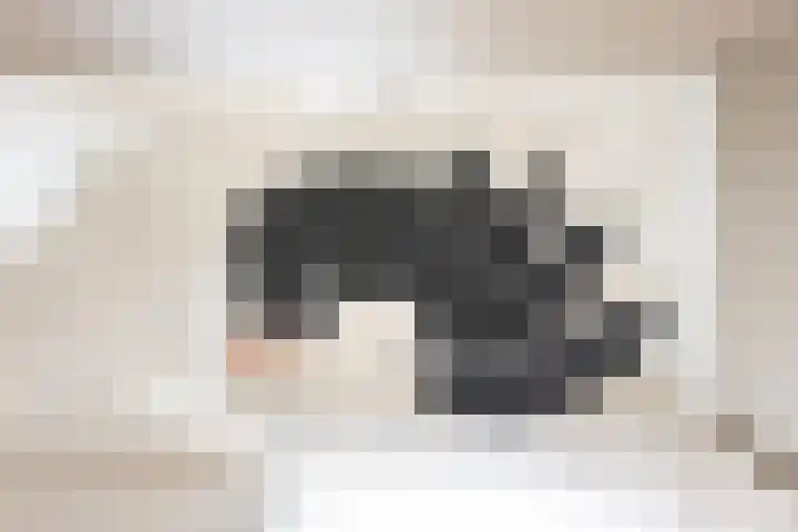 Weegbree 15 Gendringen thumbnail 34