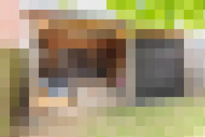Weegbree 15 Gendringen thumbnail 38