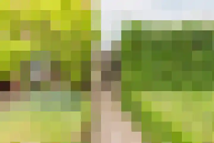 Weegbree 15 Gendringen thumbnail 42