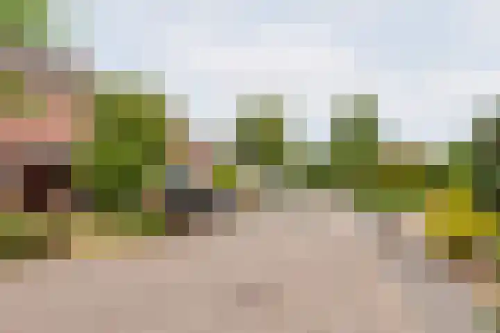 Weegbree 15 Gendringen thumbnail 43