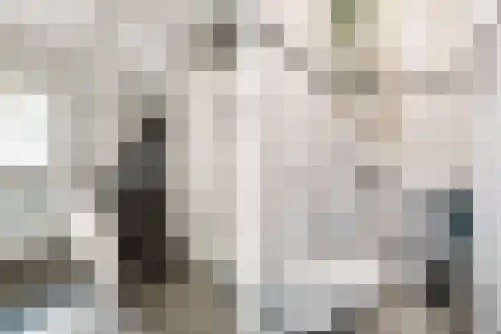 Weegbree 15 Nijverdal thumbnail 16