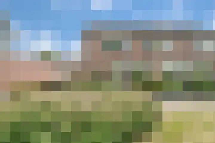 Weegbree 15 Nijverdal thumbnail 33