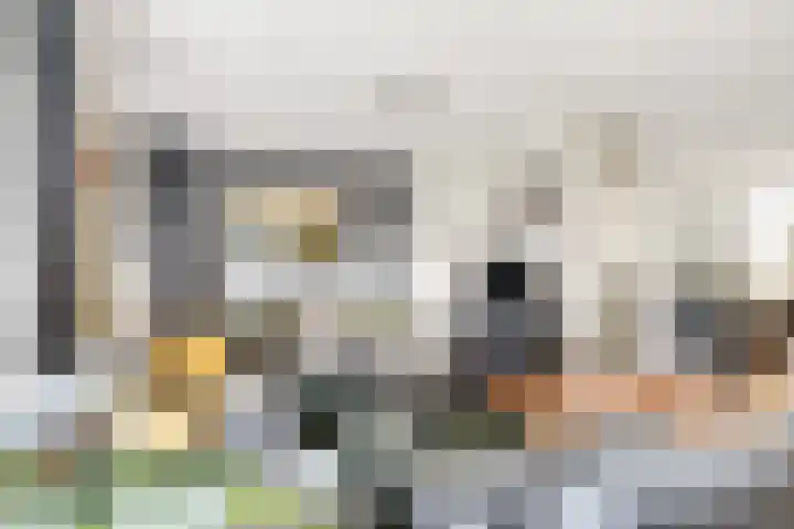 Weegbree 15 Nijverdal thumbnail 5