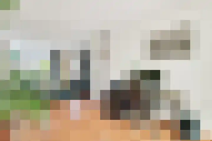 Weegbree 15 Nijverdal thumbnail 8