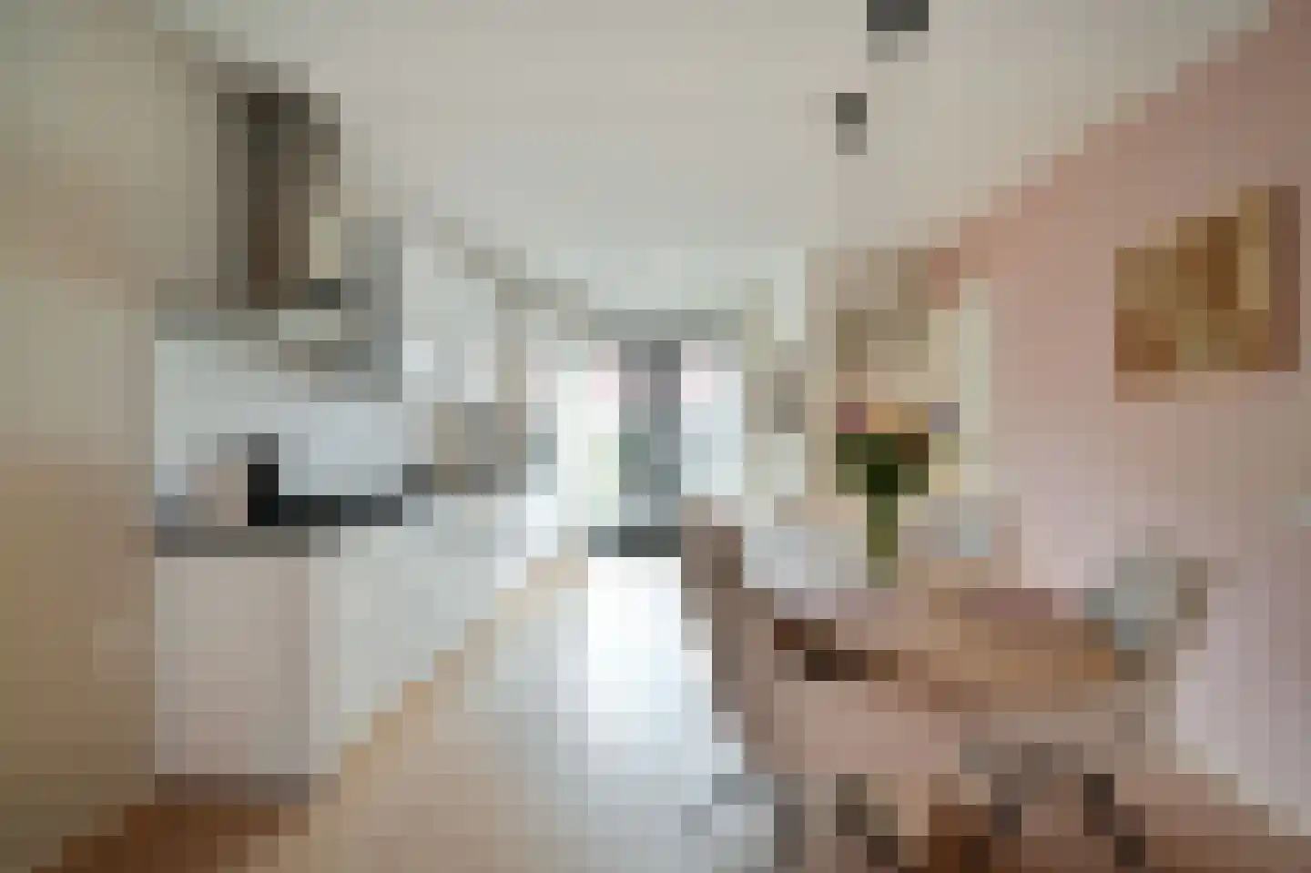 Weegbree 151 Zwaag thumbnail 10