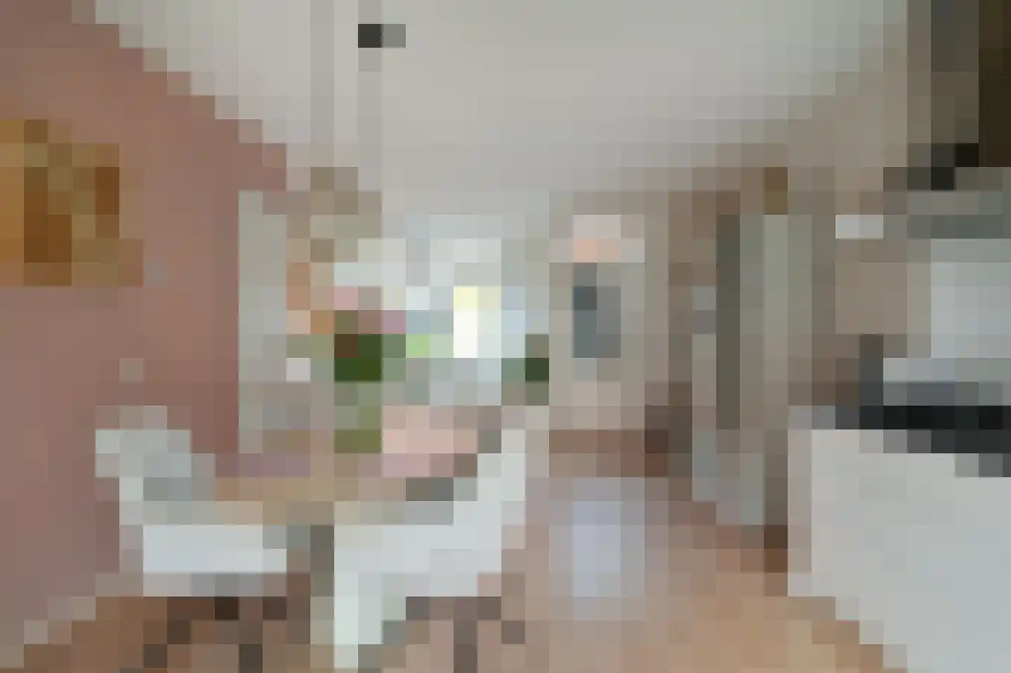 Weegbree 151 Zwaag thumbnail 11