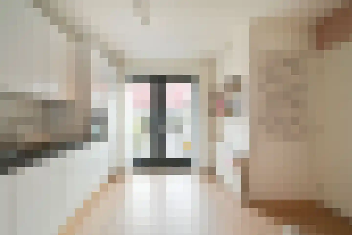 Weegbree 151 Zwaag thumbnail 13