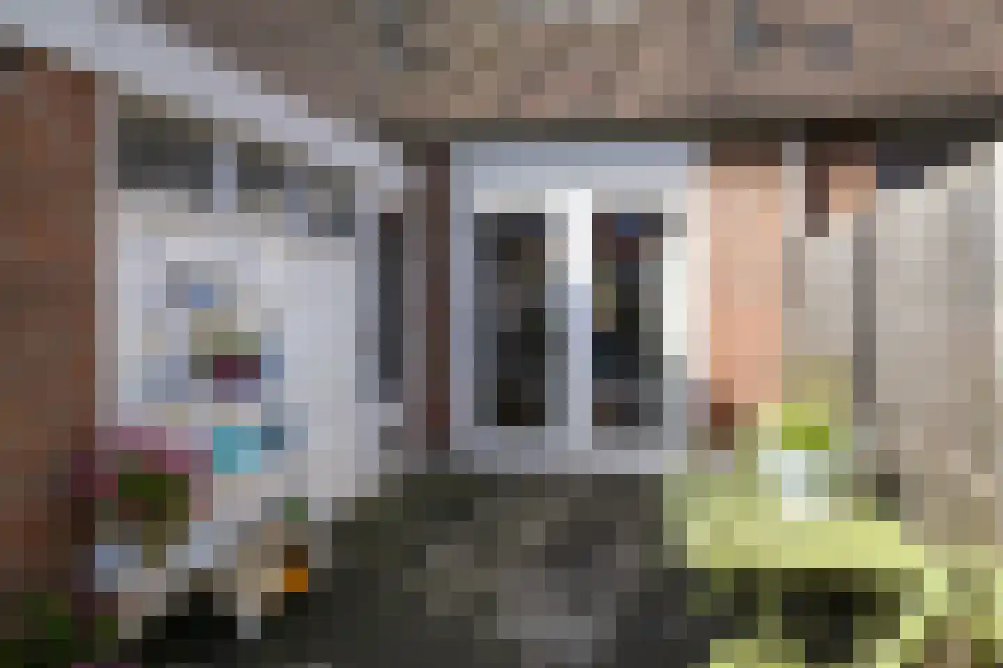 Weegbree 151 Zwaag thumbnail 26