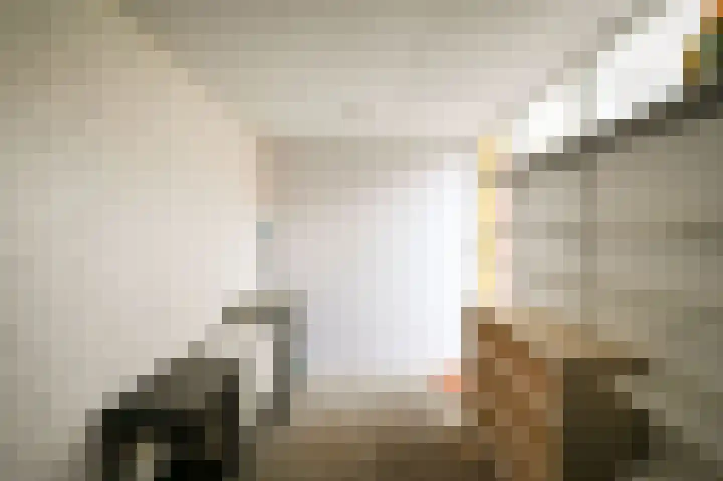Weegbree 151 Zwaag thumbnail 27