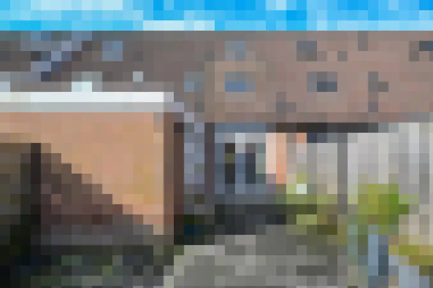 Weegbree 151 Zwaag thumbnail 4