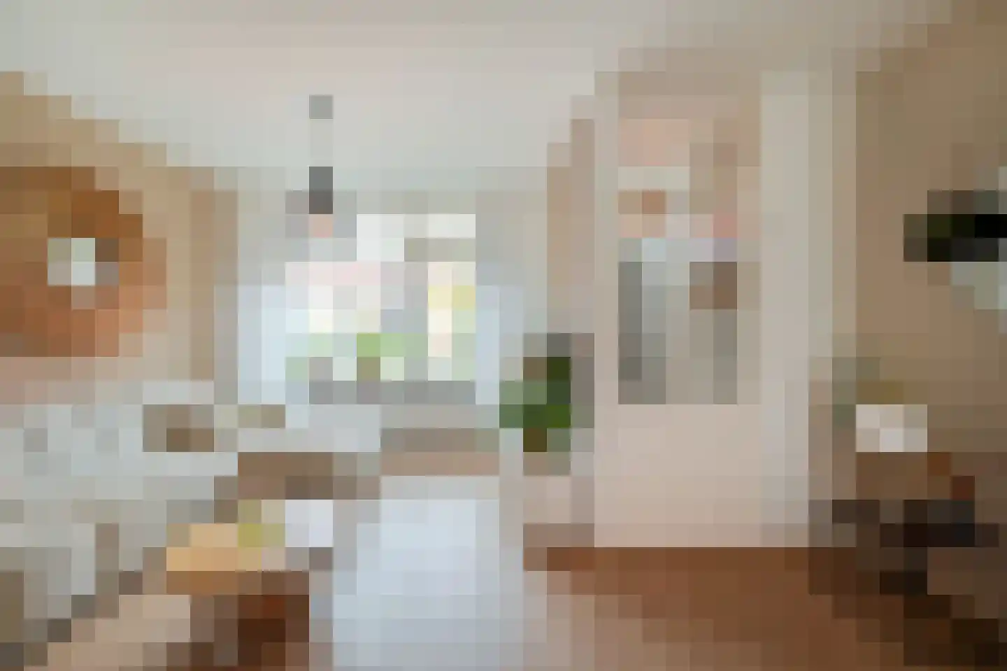 Weegbree 151 Zwaag thumbnail 7