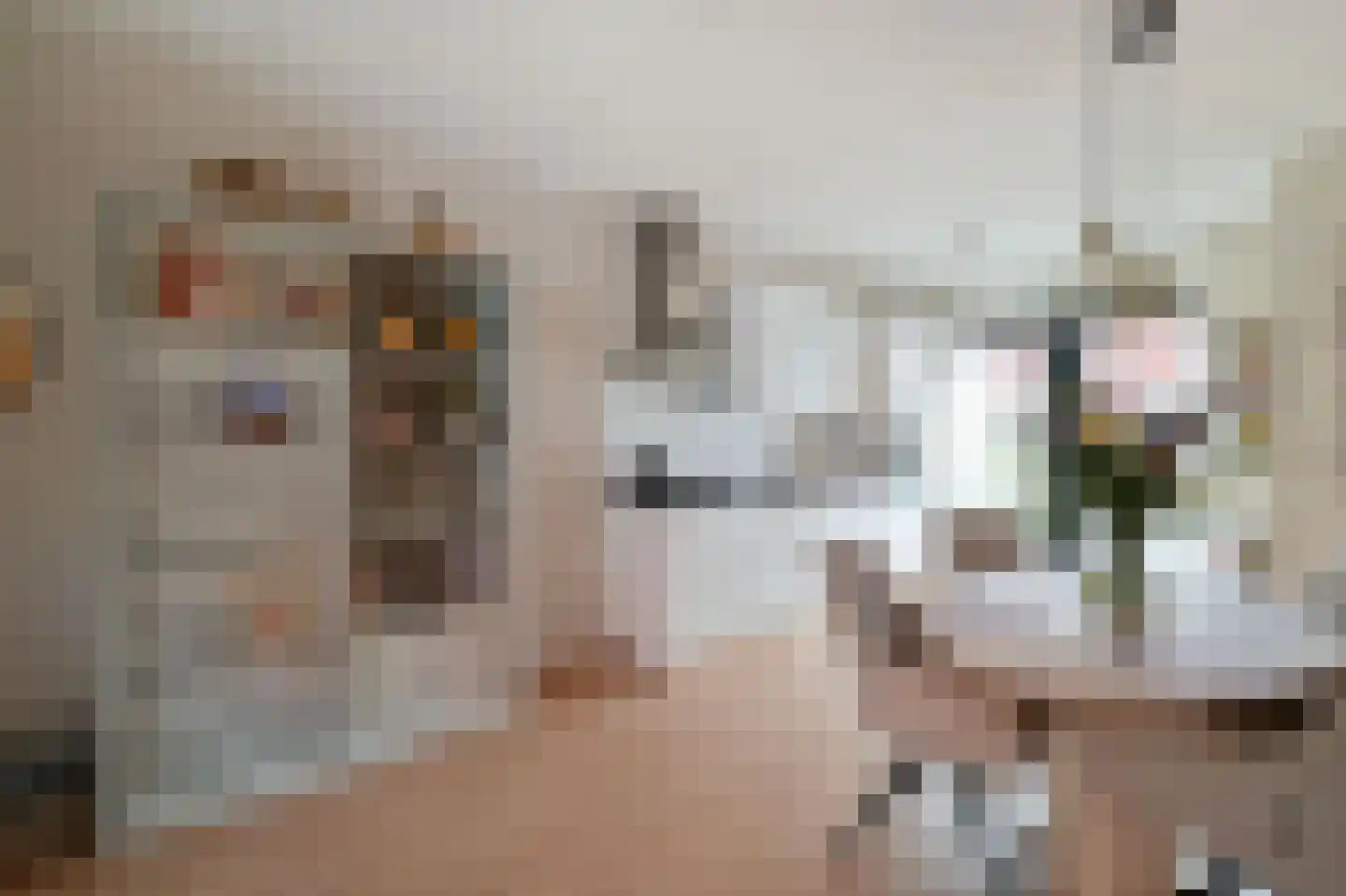 Weegbree 151 Zwaag thumbnail 9