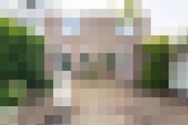 Weegbree 16 dans Boskoop