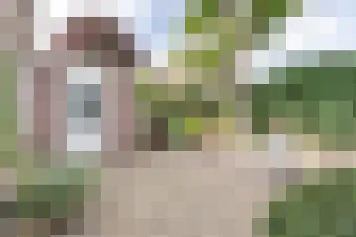 Weegbree 16 Boskoop thumbnail 13