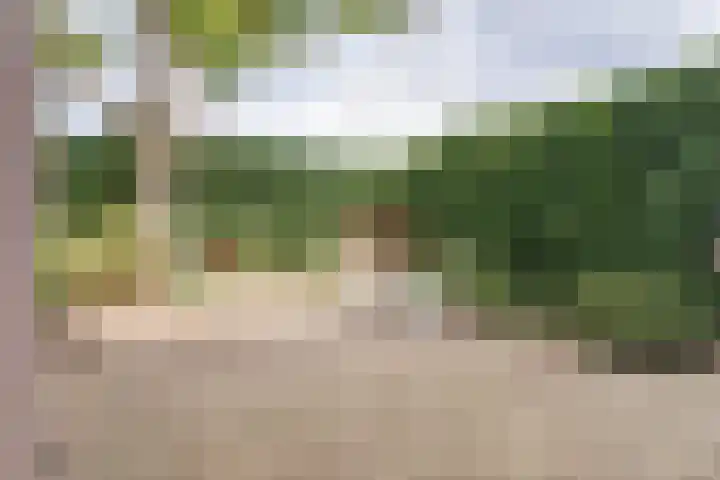 Weegbree 16 Boskoop thumbnail 14