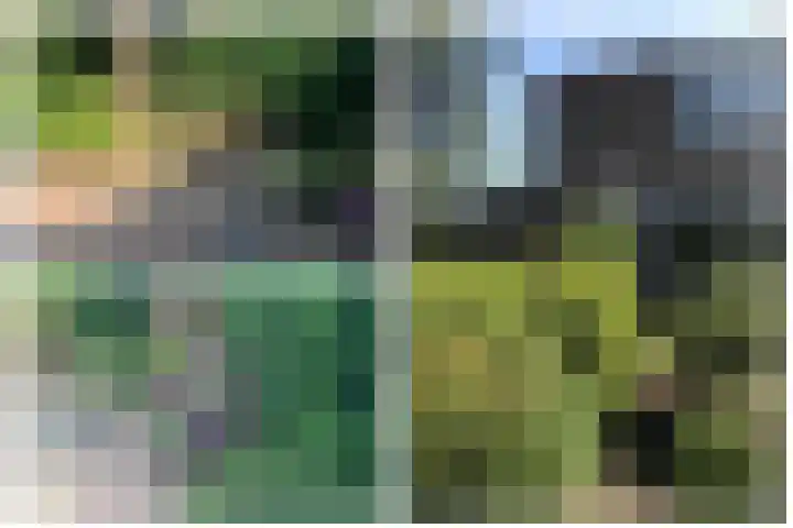 Weegbree 16 Boskoop thumbnail 15