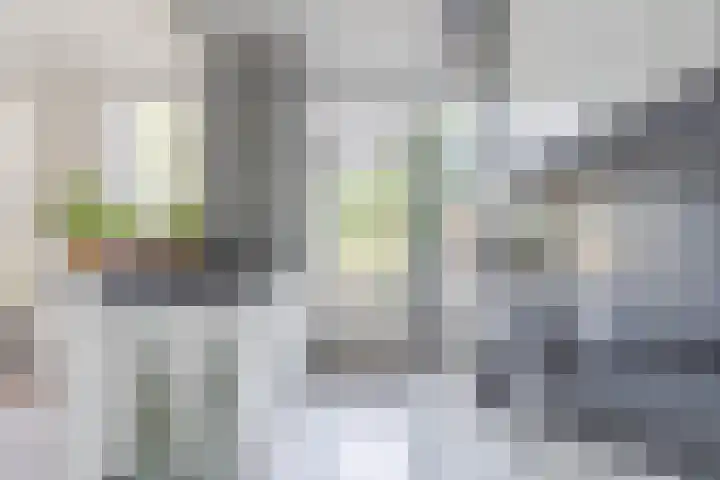 Weegbree 16 Boskoop thumbnail 6