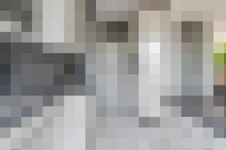 Weegbree 16 Boskoop thumbnail 7