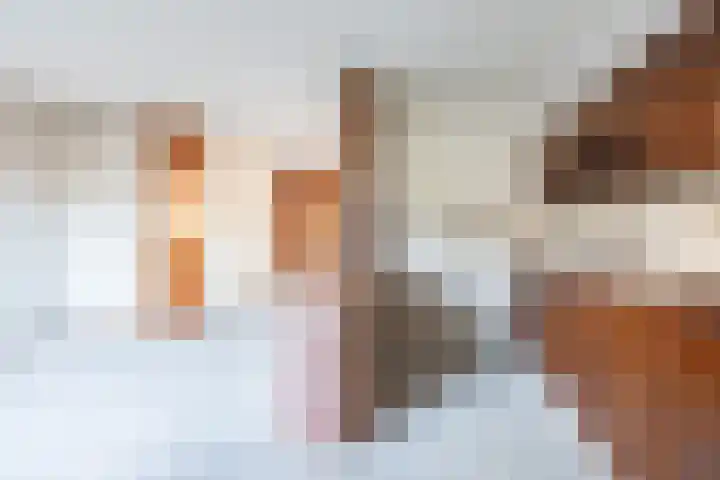 Weegbree 16 Gendringen thumbnail 15