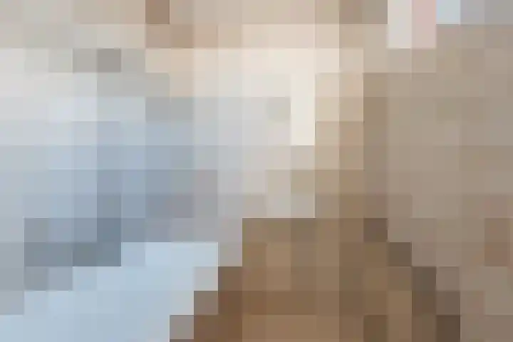 Weegbree 16 Gendringen thumbnail 23