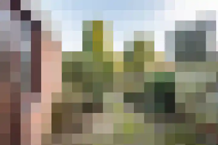 Weegbree 16 Gendringen thumbnail 35