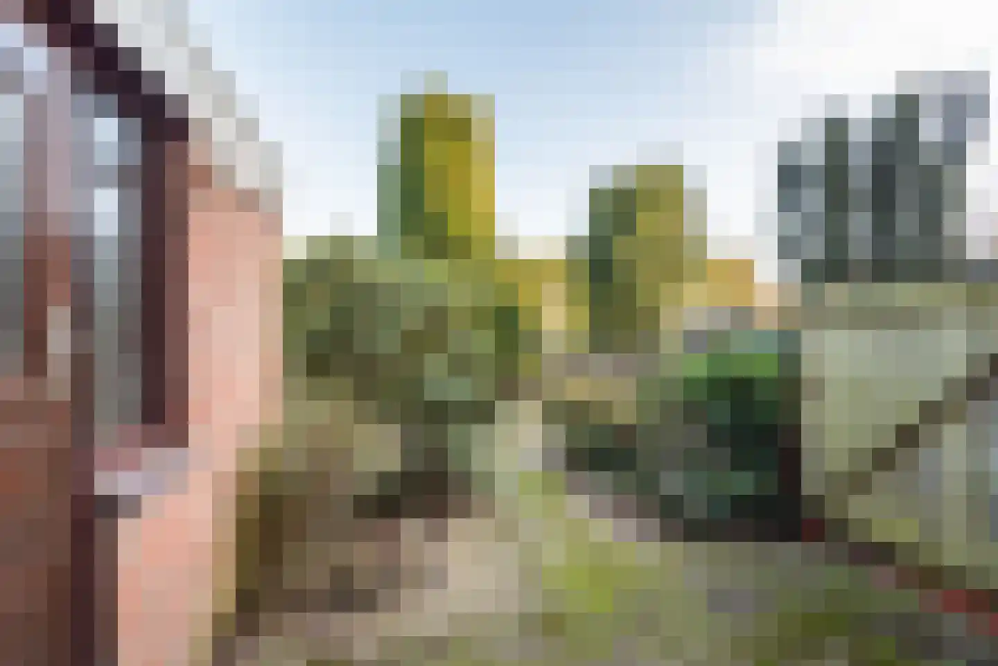 Weegbree 16 Gendringen thumbnail 35