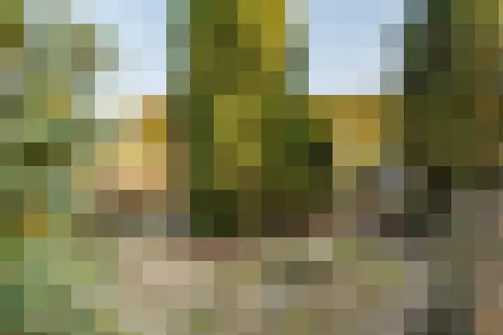 Weegbree 16 Gendringen thumbnail 38