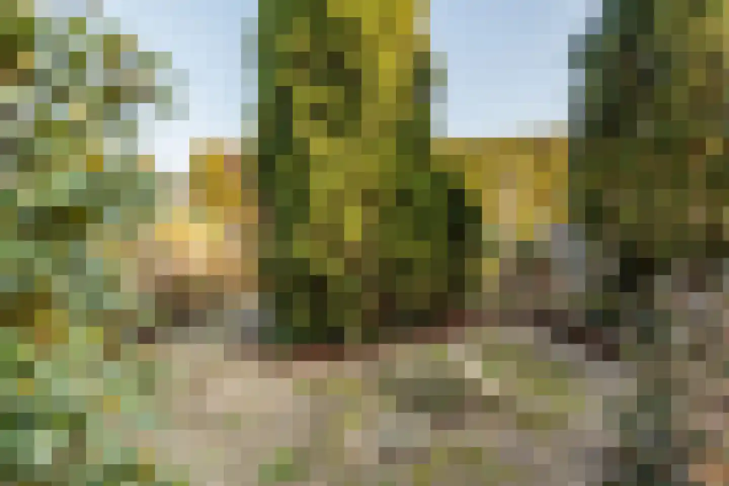 Weegbree 16 Gendringen thumbnail 38