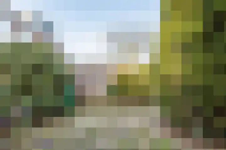 Weegbree 16 Gendringen thumbnail 39
