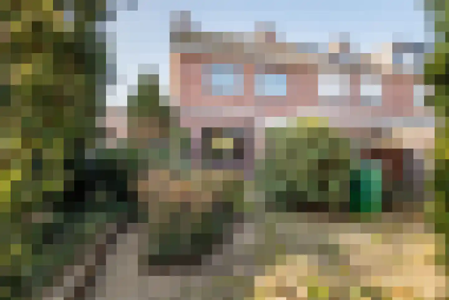 Weegbree 16 Gendringen thumbnail 4