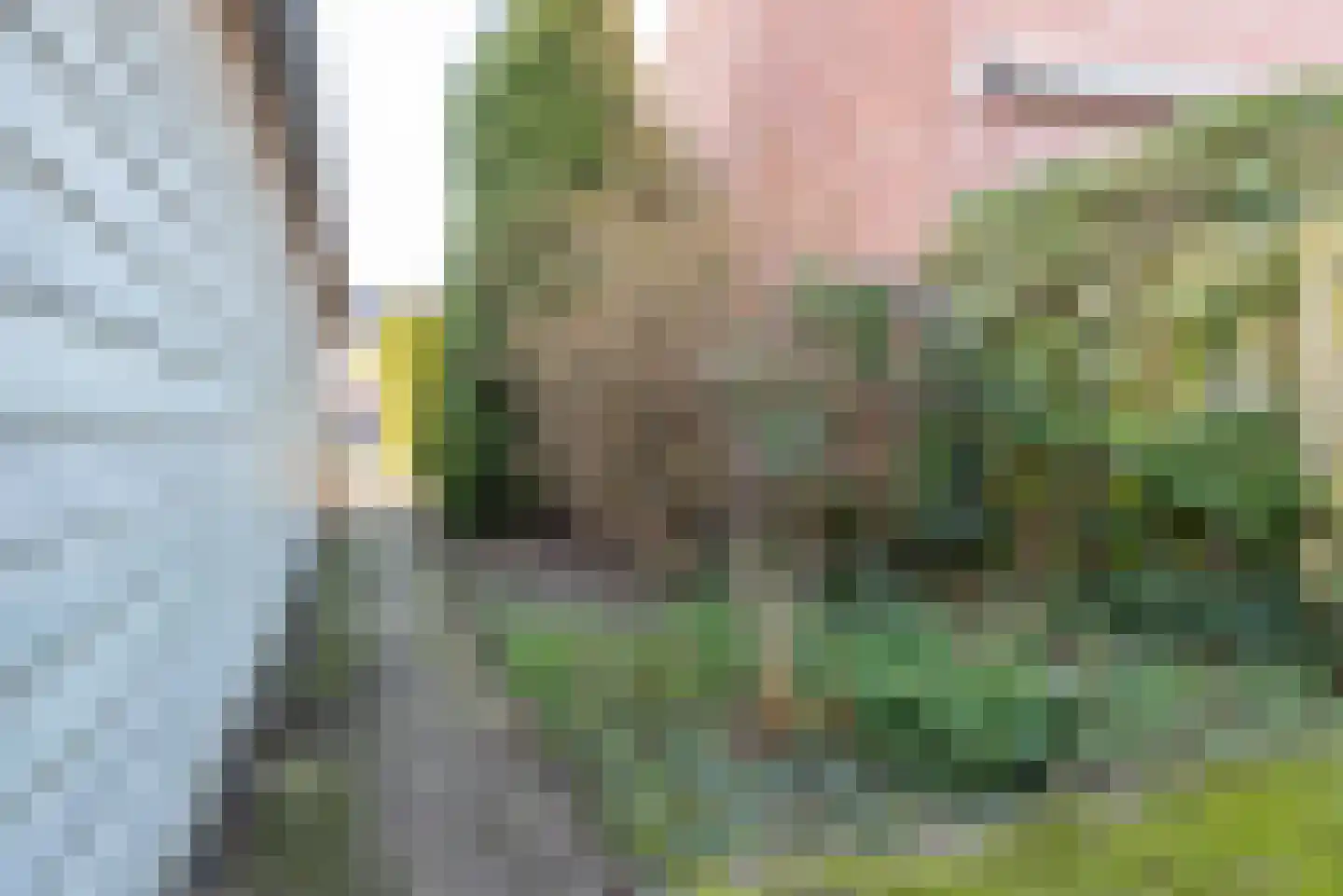 Weegbree 16 Gendringen thumbnail 40