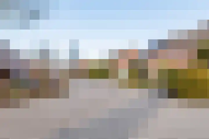 Weegbree 16 Gendringen thumbnail 41