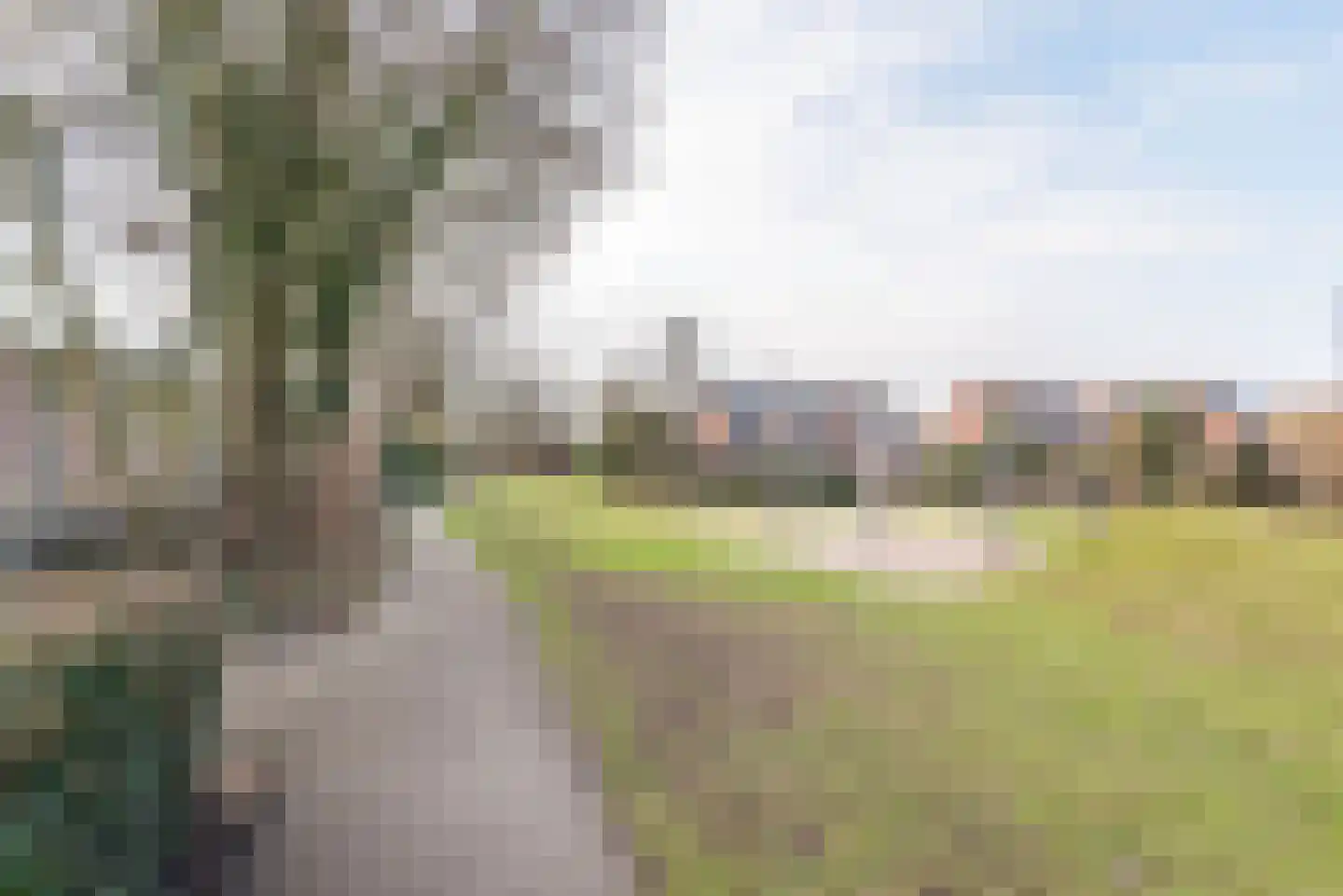 Weegbree 16 Gendringen thumbnail 42