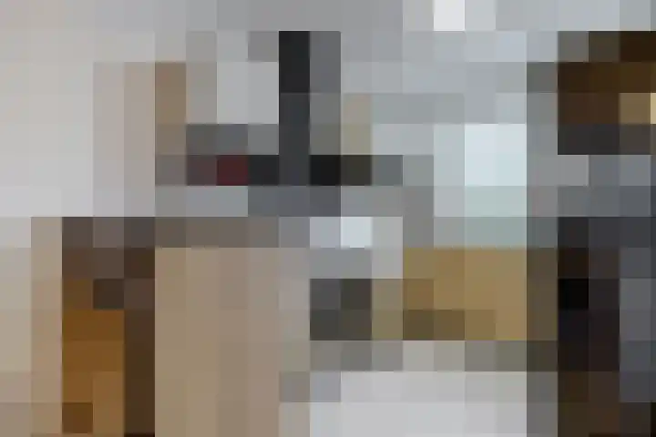 Weegbree 16 Heiloo thumbnail 13