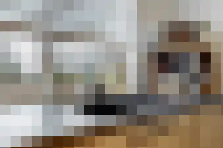 Weegbree 16 Heiloo thumbnail 14