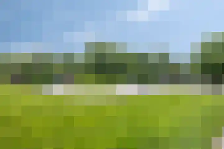 Weegbree 16 Heiloo thumbnail 27