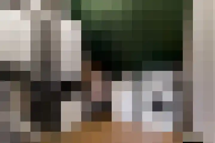 Weegbree 16 Heiloo thumbnail 33