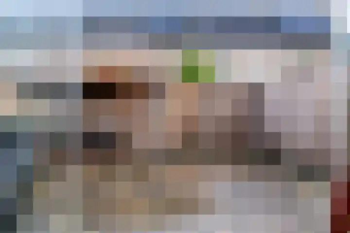 Weegbree 16 Heiloo thumbnail 40