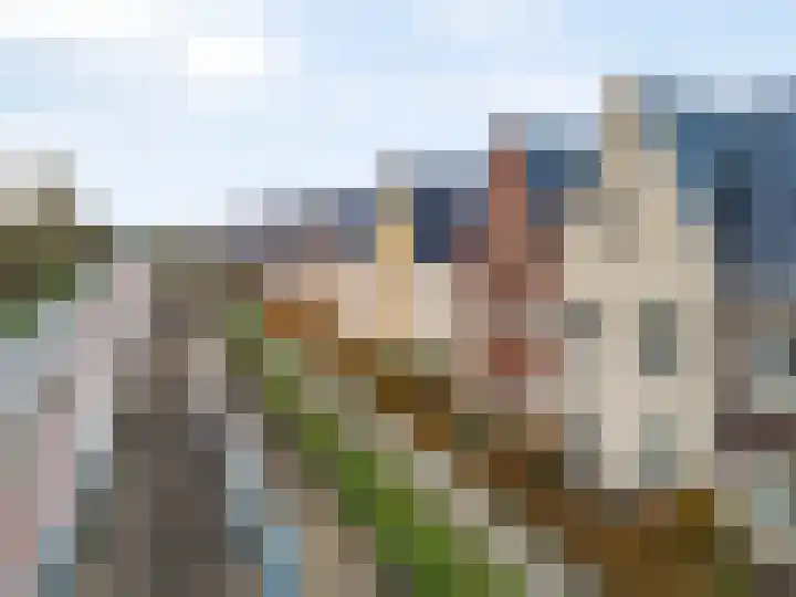 Weegbree 16 Heiloo thumbnail 45