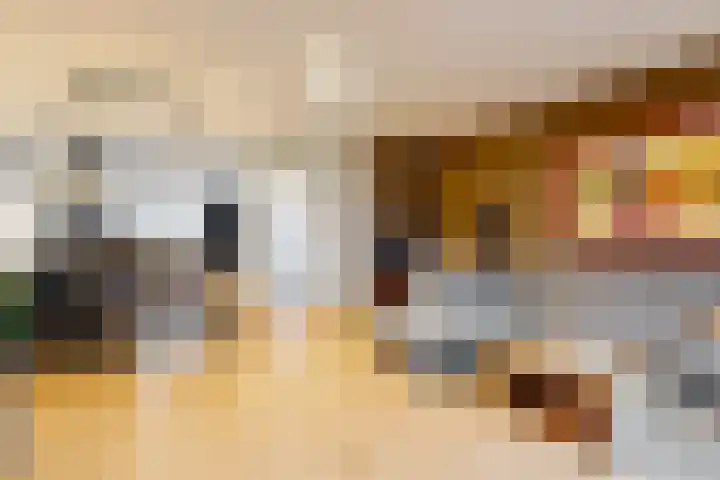 Weegbree 16 Heiloo thumbnail 7