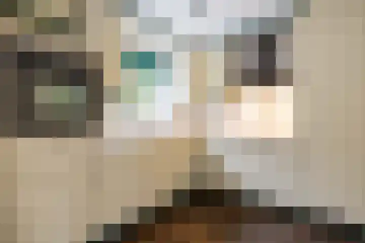 Weegbree 17 Grootegast thumbnail 11