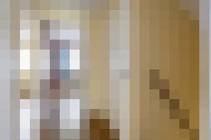 Weegbree 17 Grootegast thumbnail 14