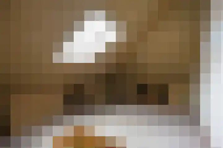 Weegbree 17 Grootegast thumbnail 20