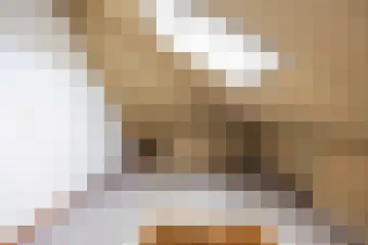 Weegbree 17 Grootegast thumbnail 21