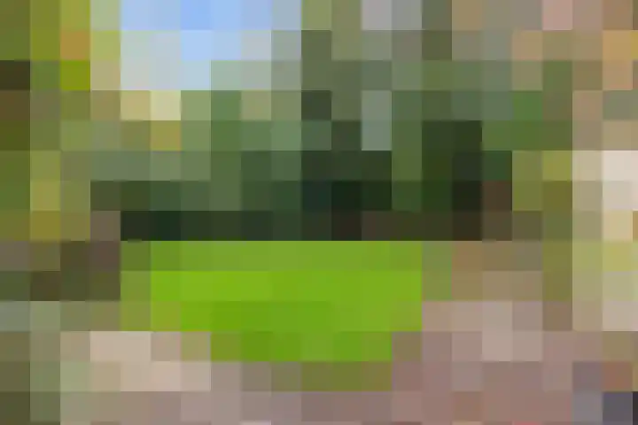 Weegbree 17 Grootegast thumbnail 23