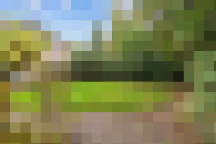 Weegbree 17 Grootegast thumbnail 25